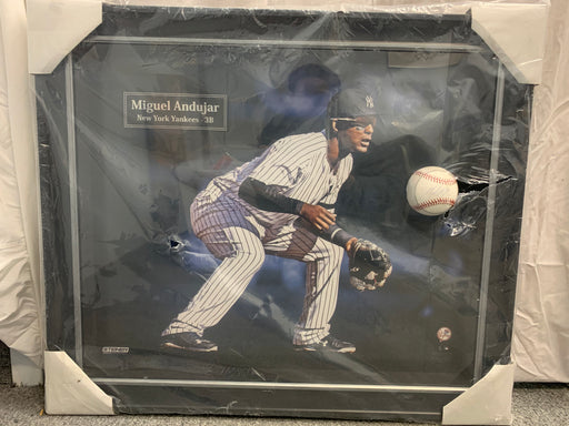 Miguel Andujar Autographed Baseball and Photograph